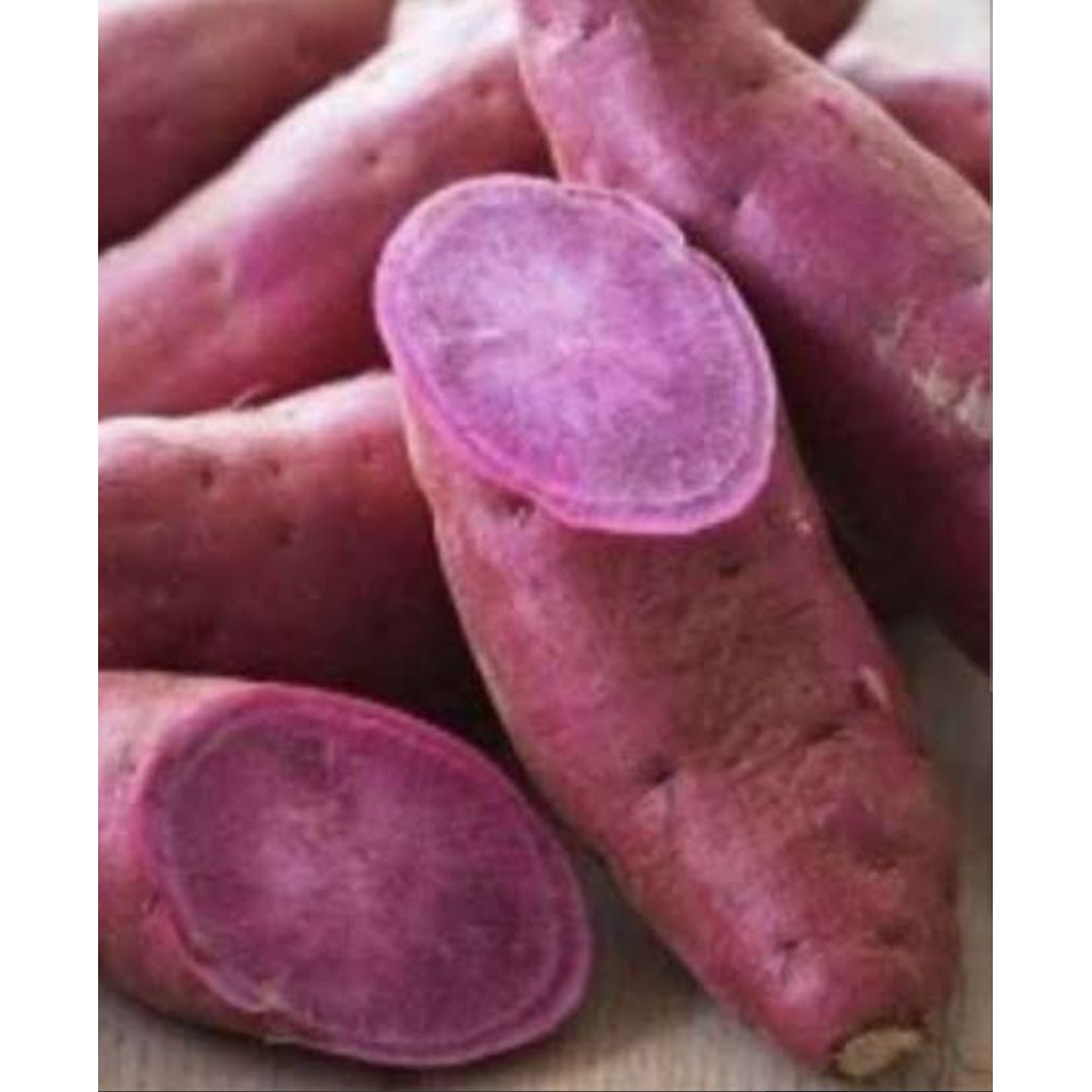 

ubi jalar super ungu kecil standart fresh 500 gram min beli 2 langsung petani