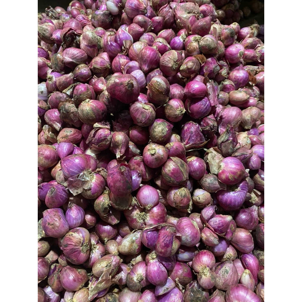 

Bawang Merah Segar dan Kering ukuran 250gr 500gr