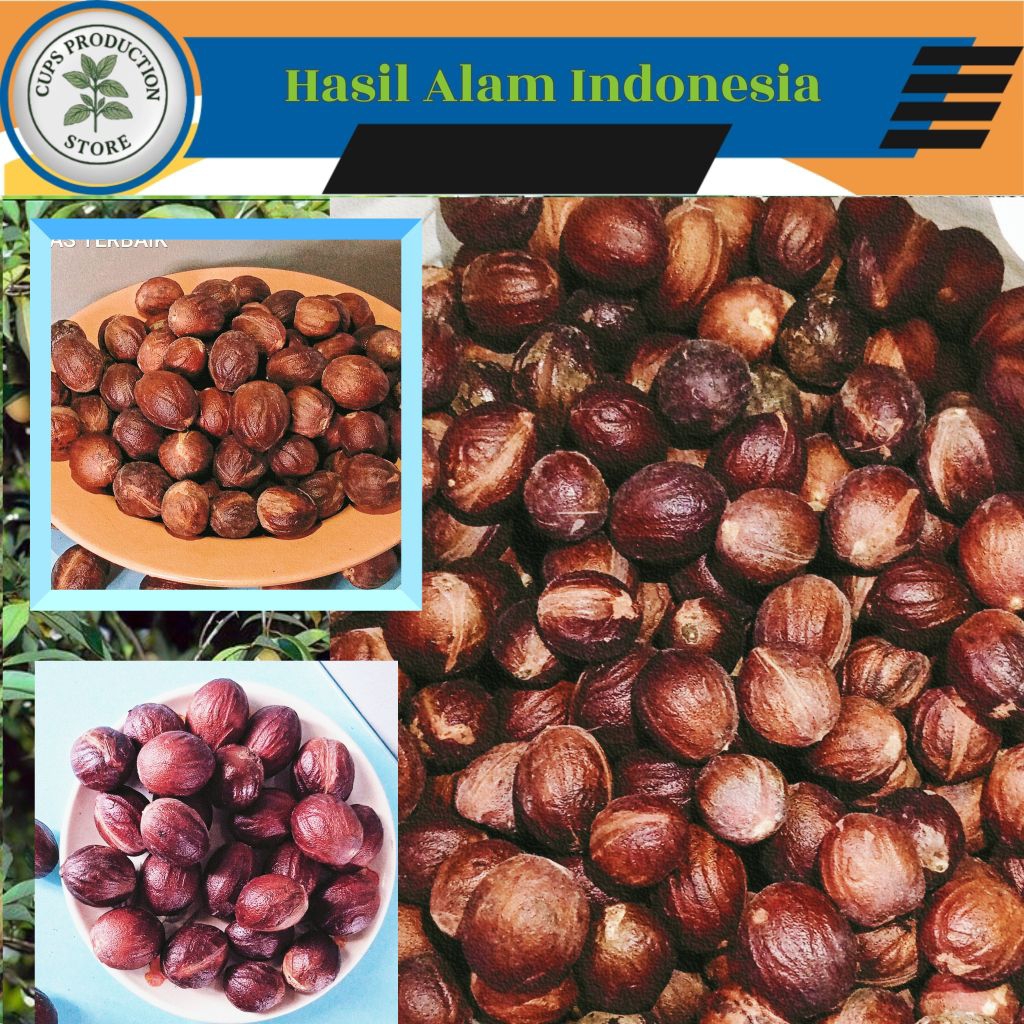 

BIJI BUAH PALA Kering - Wangi yang Khas