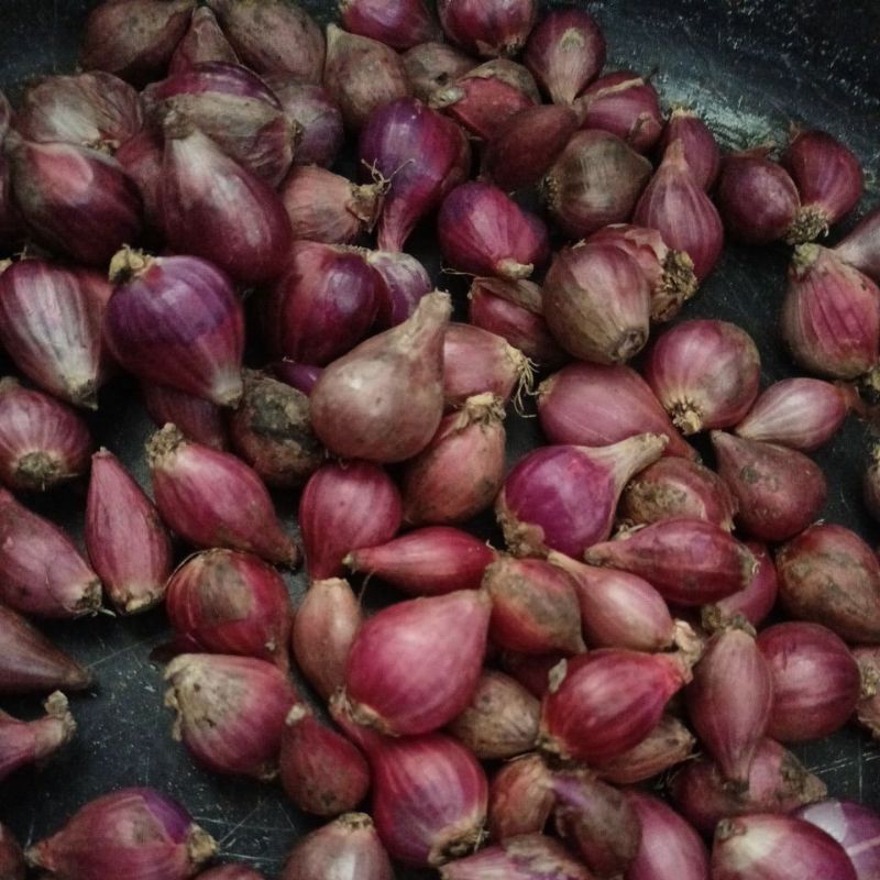 

bawang merah tanggung Campur