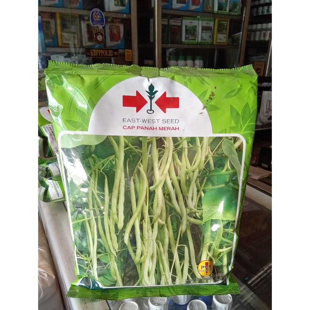 

Benih Buncis MAXIPRO | Cap panah merah | 500g