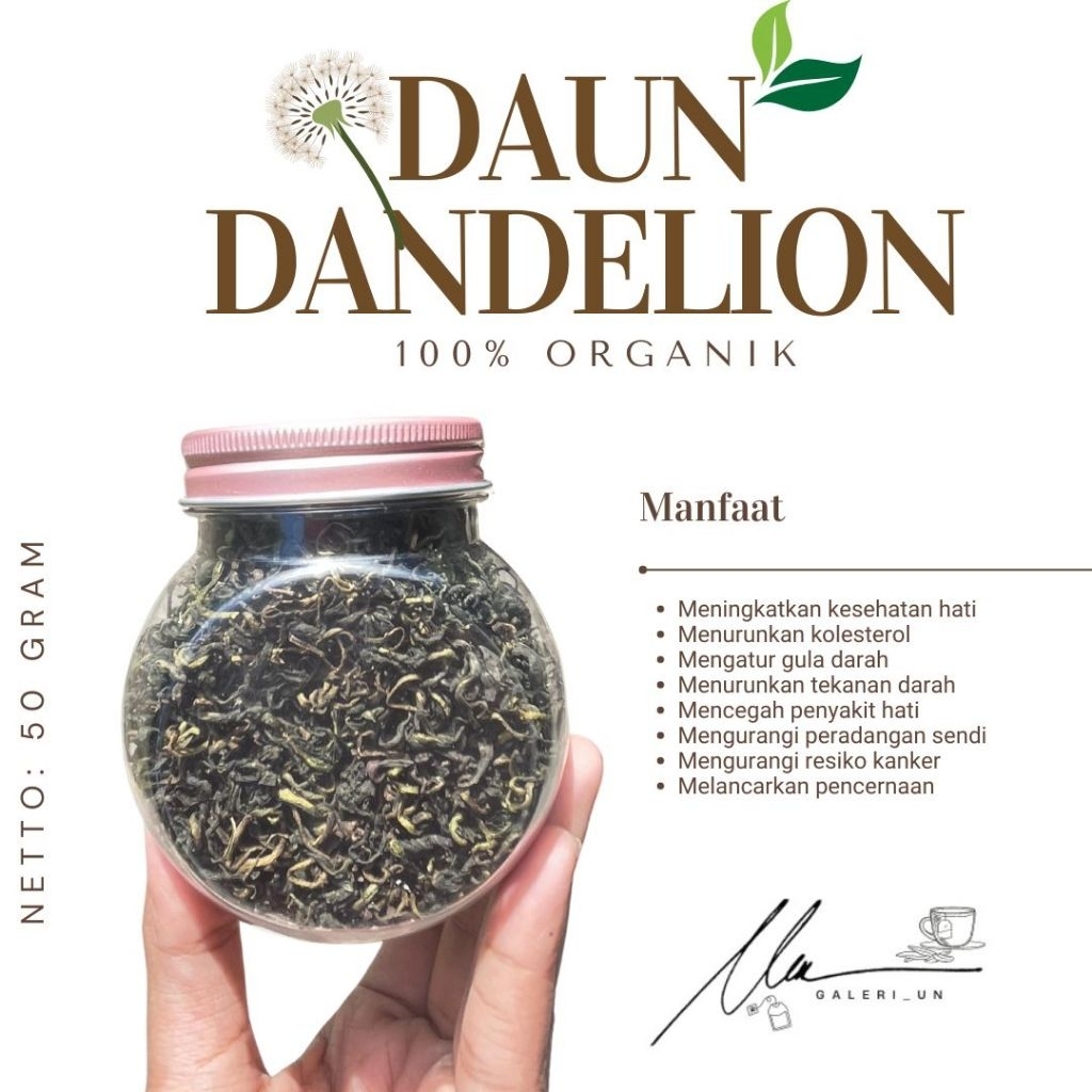 

DAUN DANDELION/ DANDELION LEAF (50gr) PREMIUM