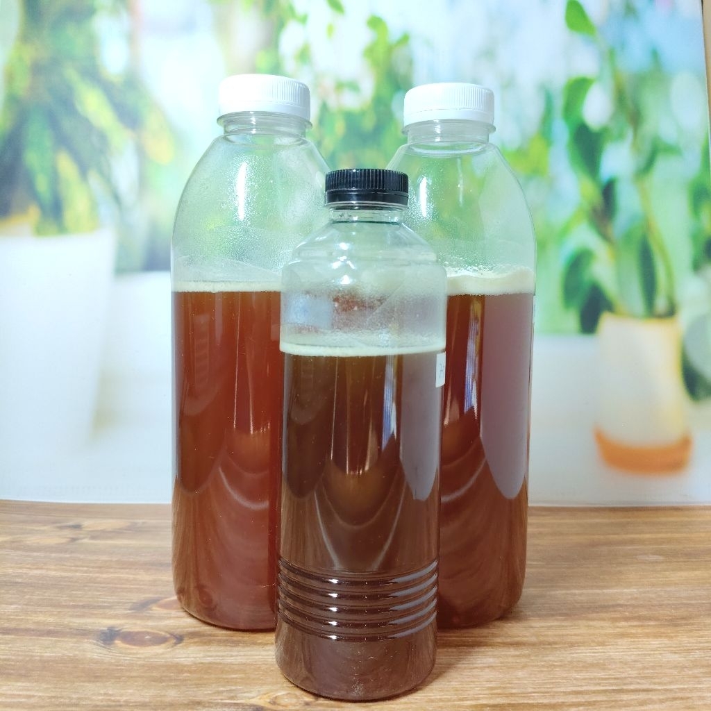 

Madu Murni Dari perkebunan Kelapa TANJABTIM