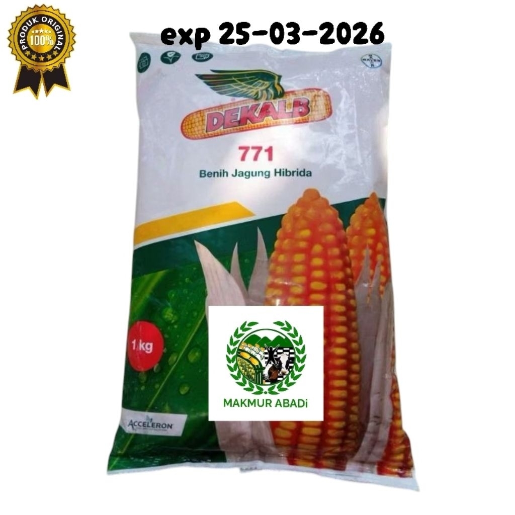 benih jagung hibrida Dk 771 1kg