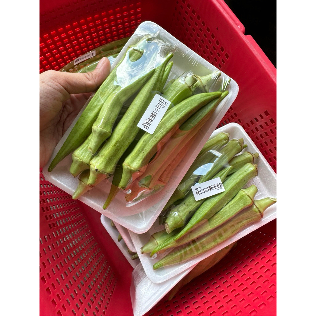 

Sayur Okra 200gr