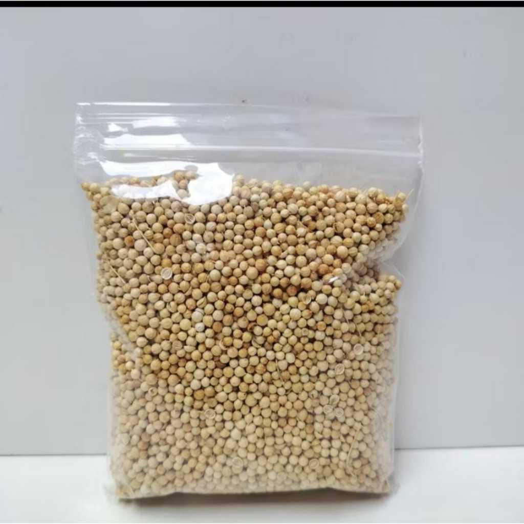 

Ketumbar Bumbu Masak