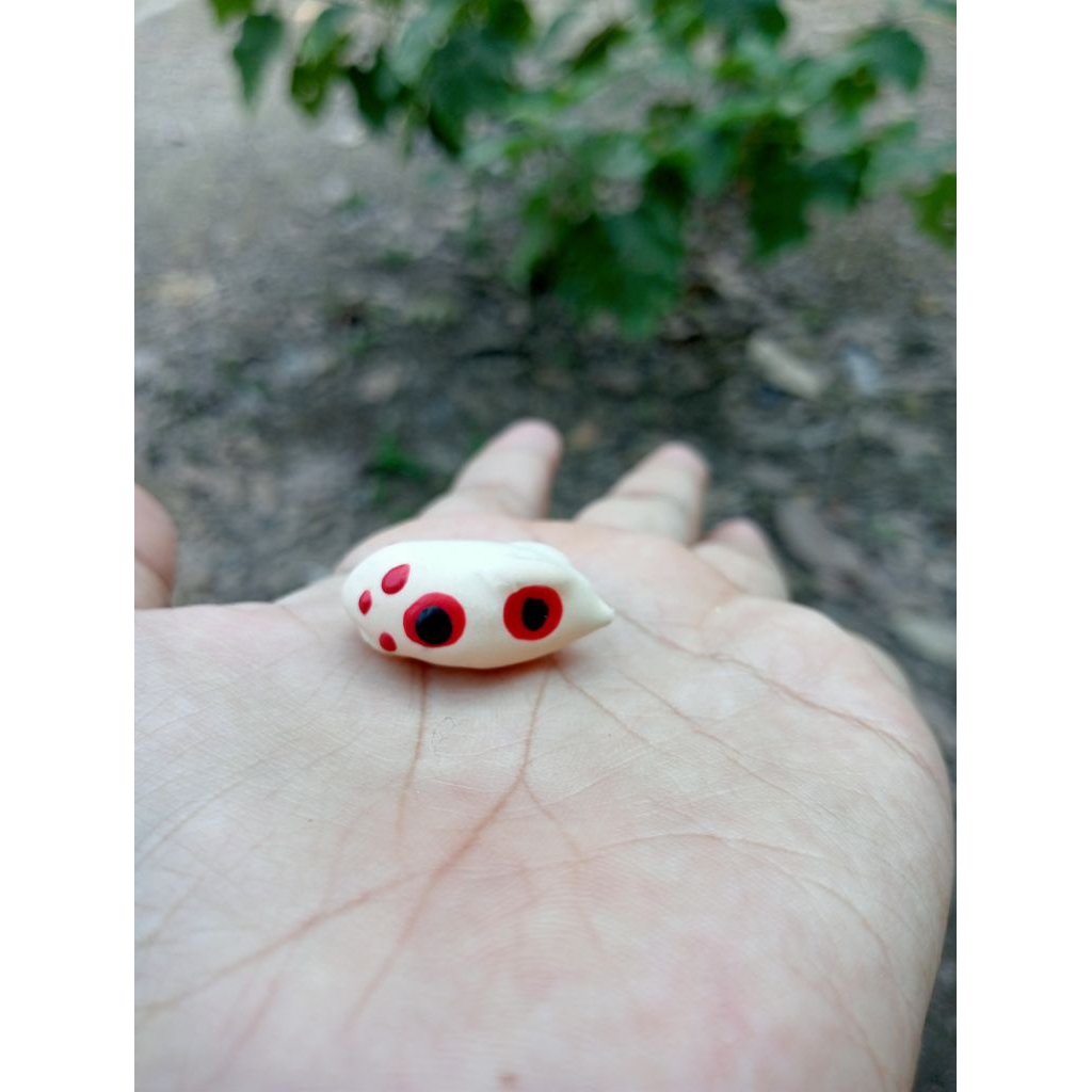 cangkang/kulit soft frog ukuran 2,5 cm