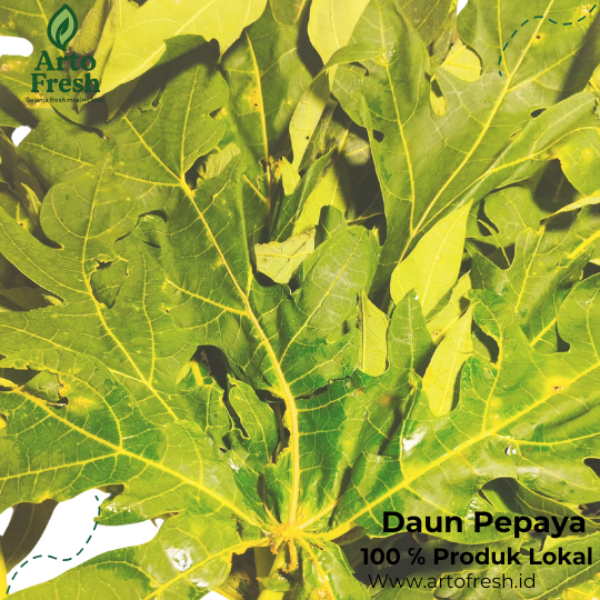 

Daun Pepaya segar, Artofresh Per Ikat 250 Gram