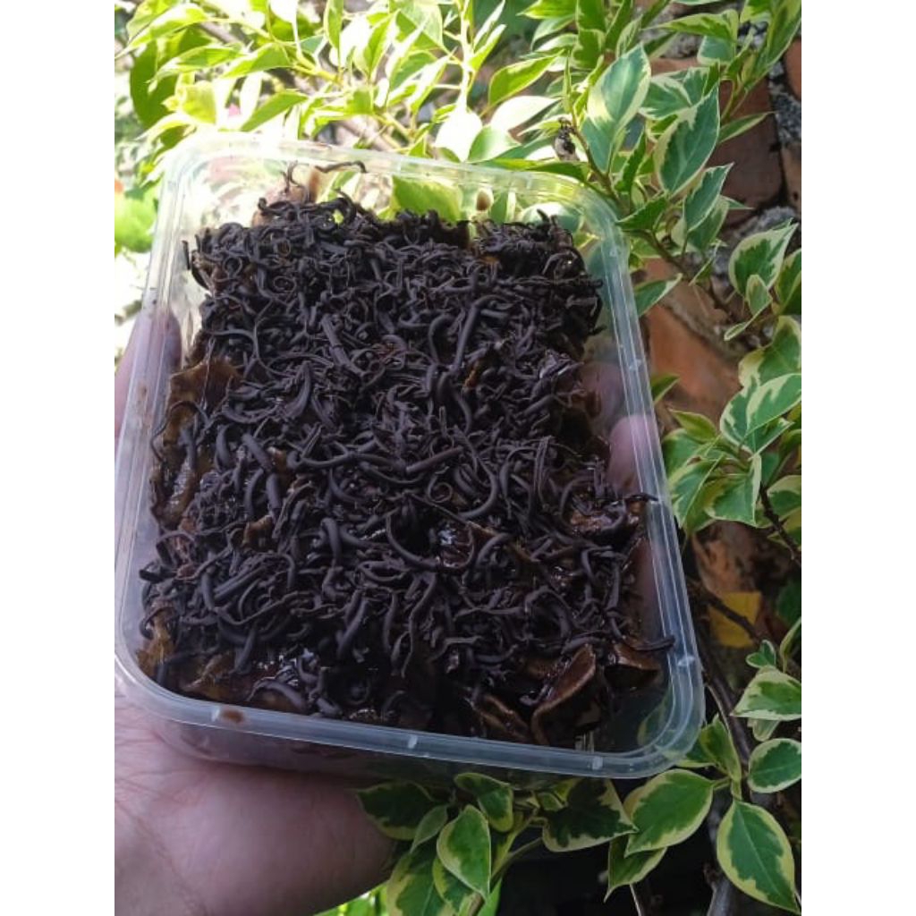 

[ launching murah ] kripik pisang lumer | 150gr