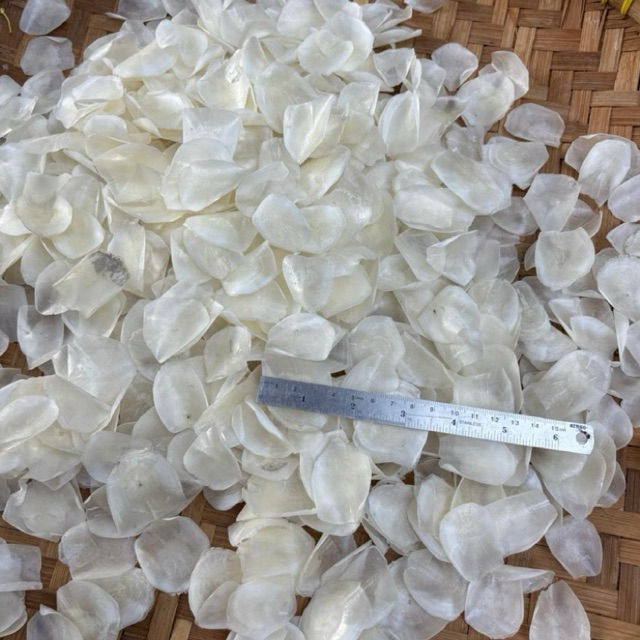 

SISIK IKAN SUPER (500gr, 1000gr) LIMITED STOCK‼️