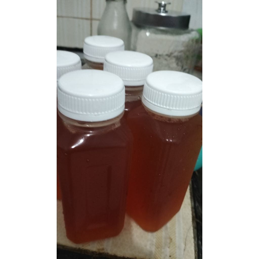 

Scooby kombucha dengan starter