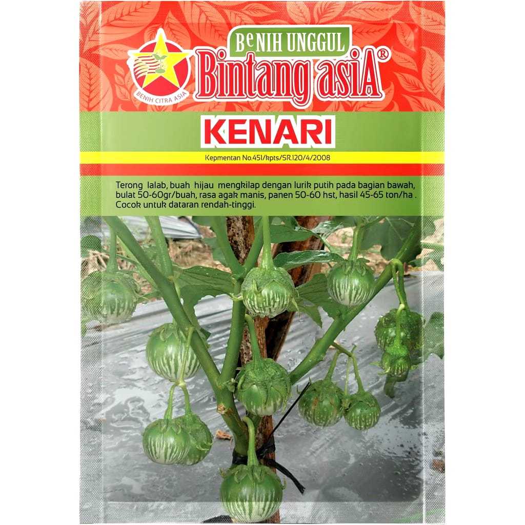BA - Benih Terong Lalap Hijau Kenari isi 10 gram - Merk Bintang Asia