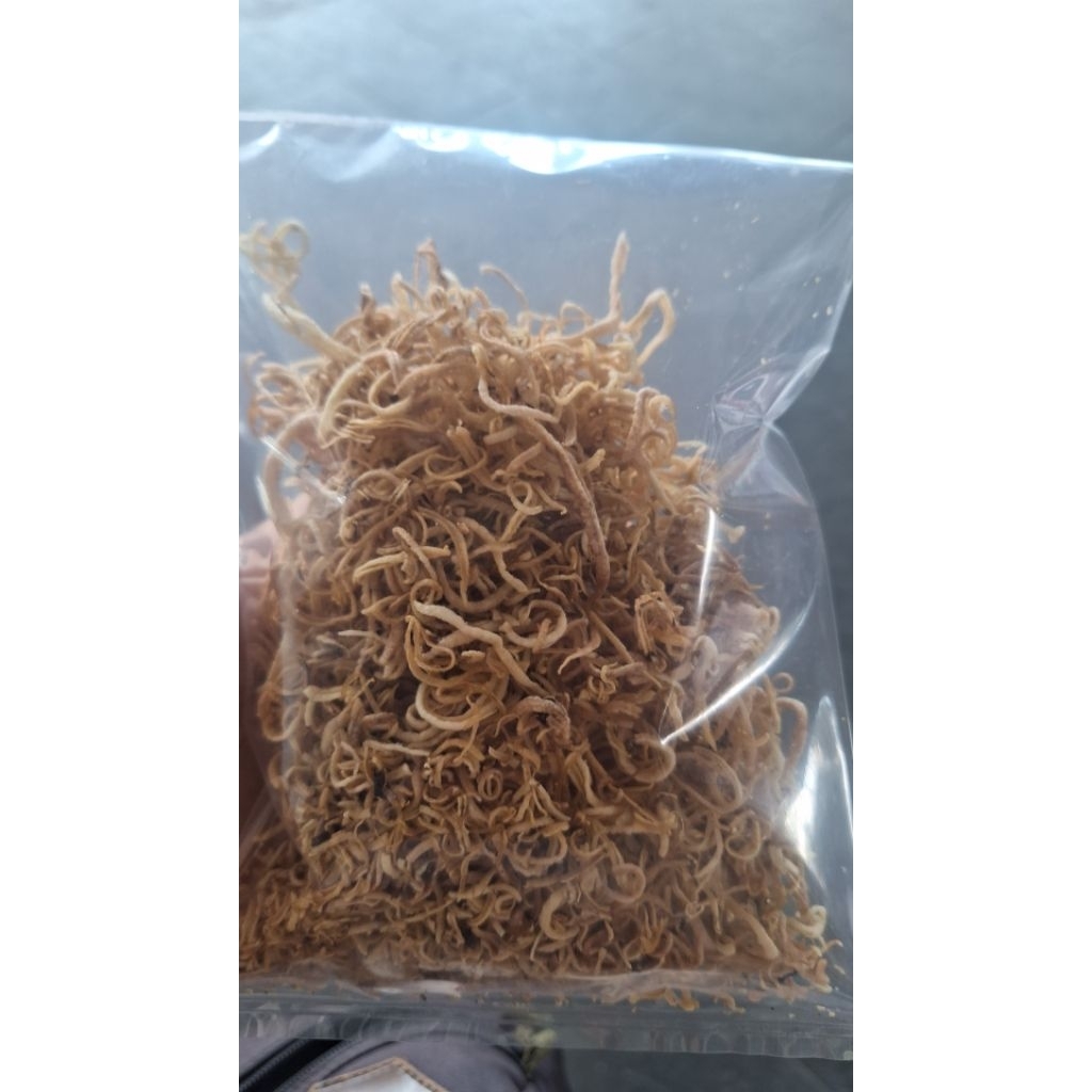 

KERIPIK SERAT TERIPANG