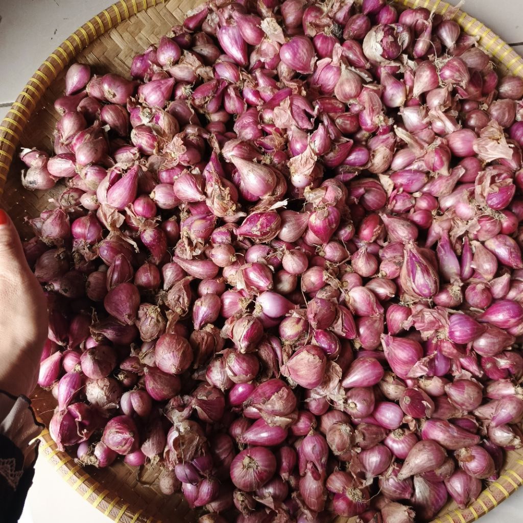 

bawang merah bumbu dapur bumbu masak