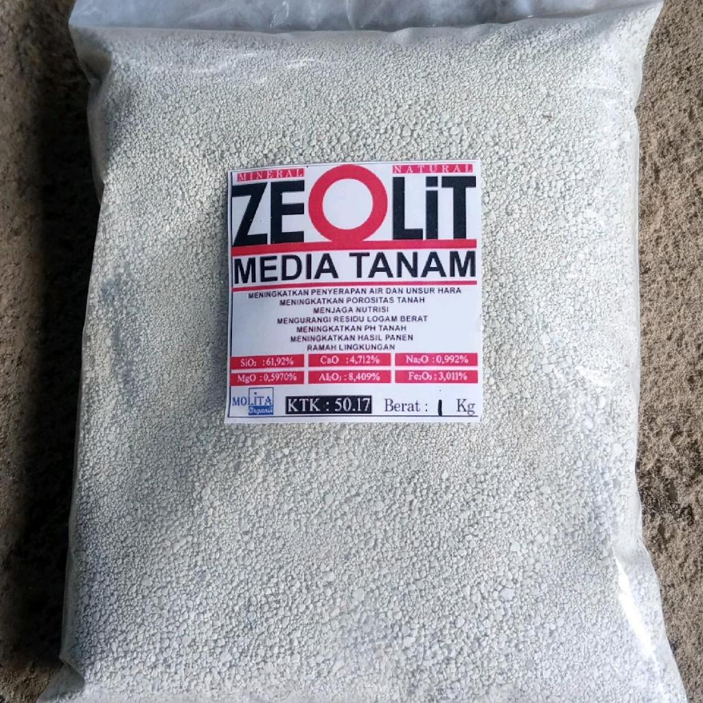 Zeolit media tanam dan bahan pertanian