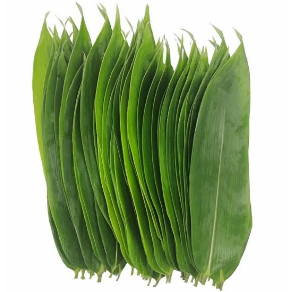

daun bambu isi 100 pcs/daun bambu buat bacang