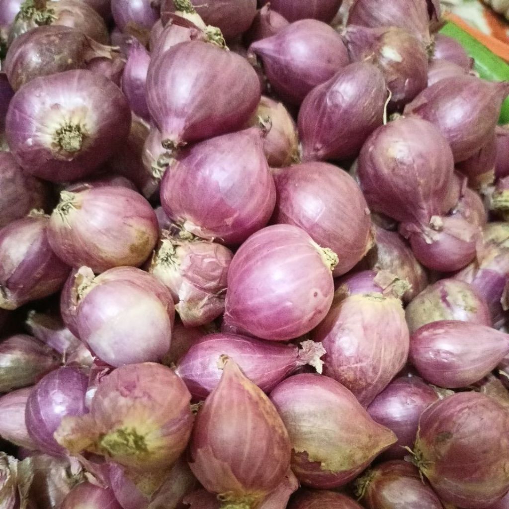 

Bawang Merah – Segar, Harum, dan Siap Menyempurnakan Masakan Anda