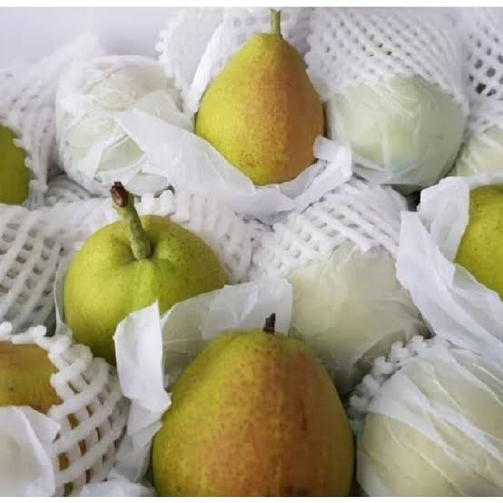 

pir xiangli berat 1kg