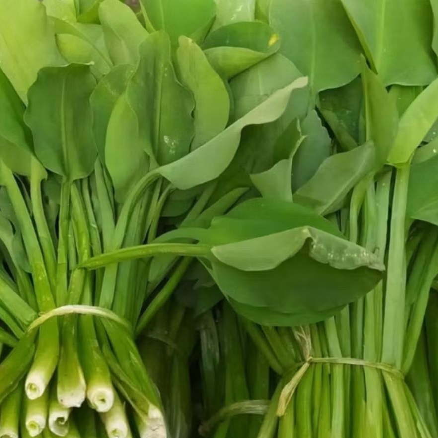 

Daun genjer atau gendot - sayuran segar 500 gram