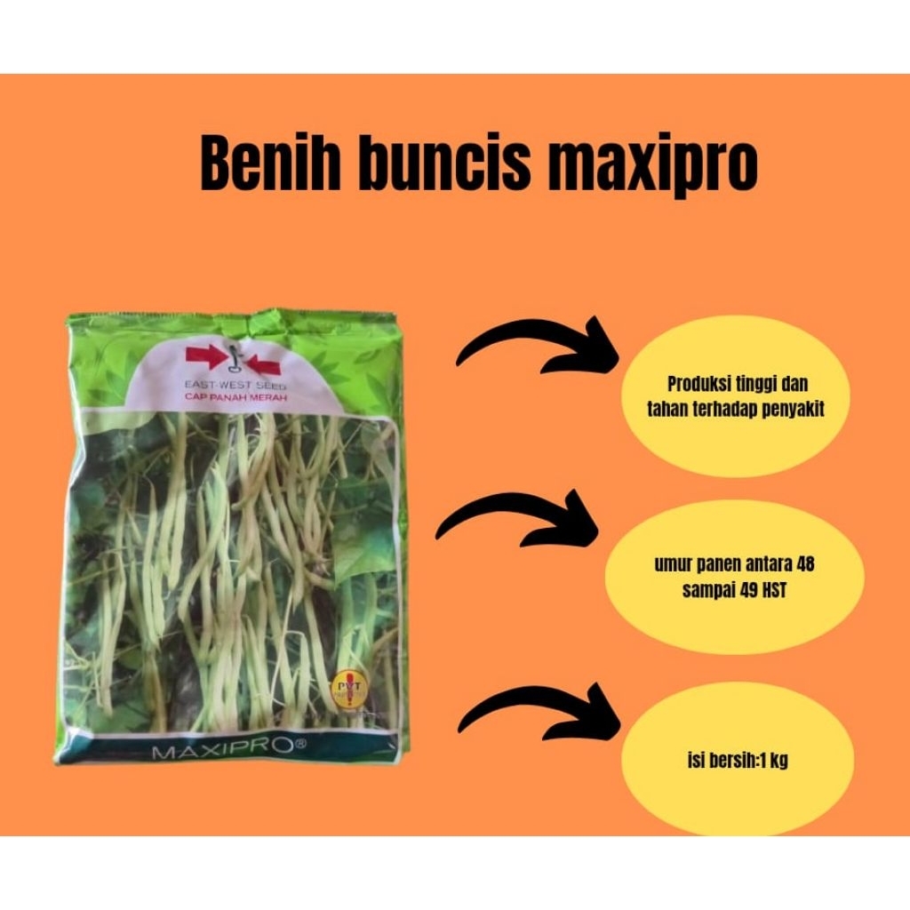 

BENIH BUNCIS MAXIPRO CAP PANAH MERAH 1 KG