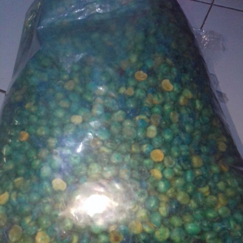

kacang polong dan kacang koro