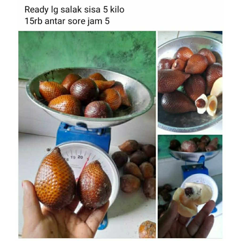

salak segar manis