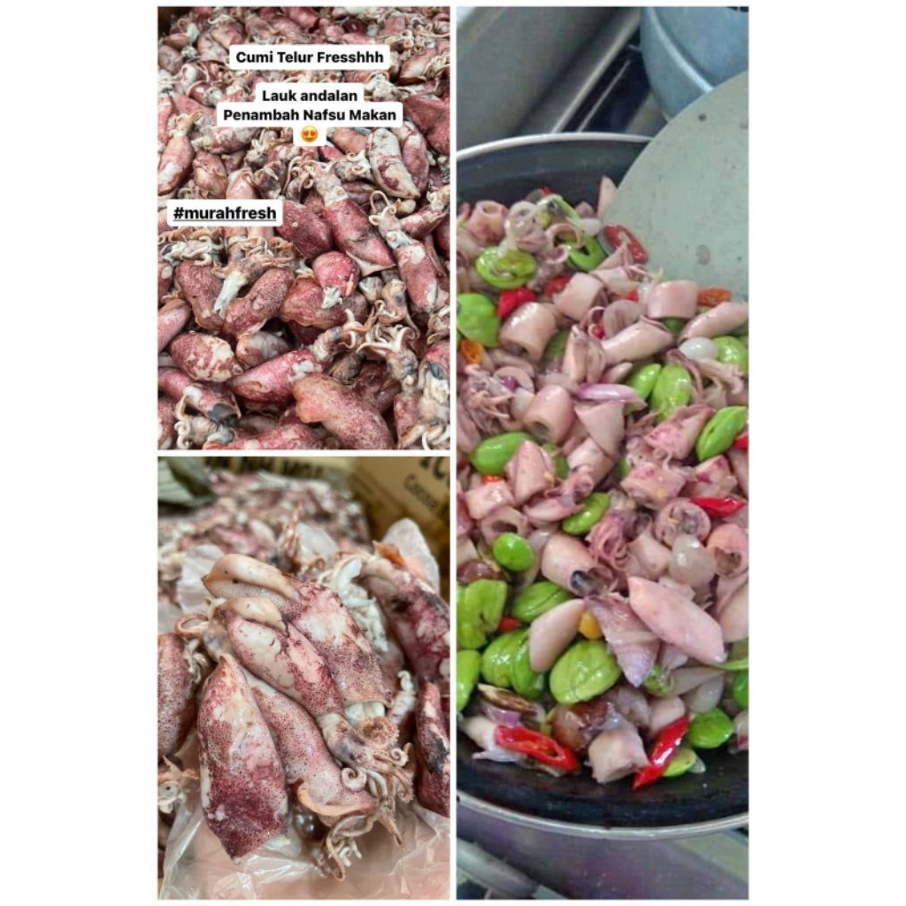 

CUMI TELUR BOX 200GRAM