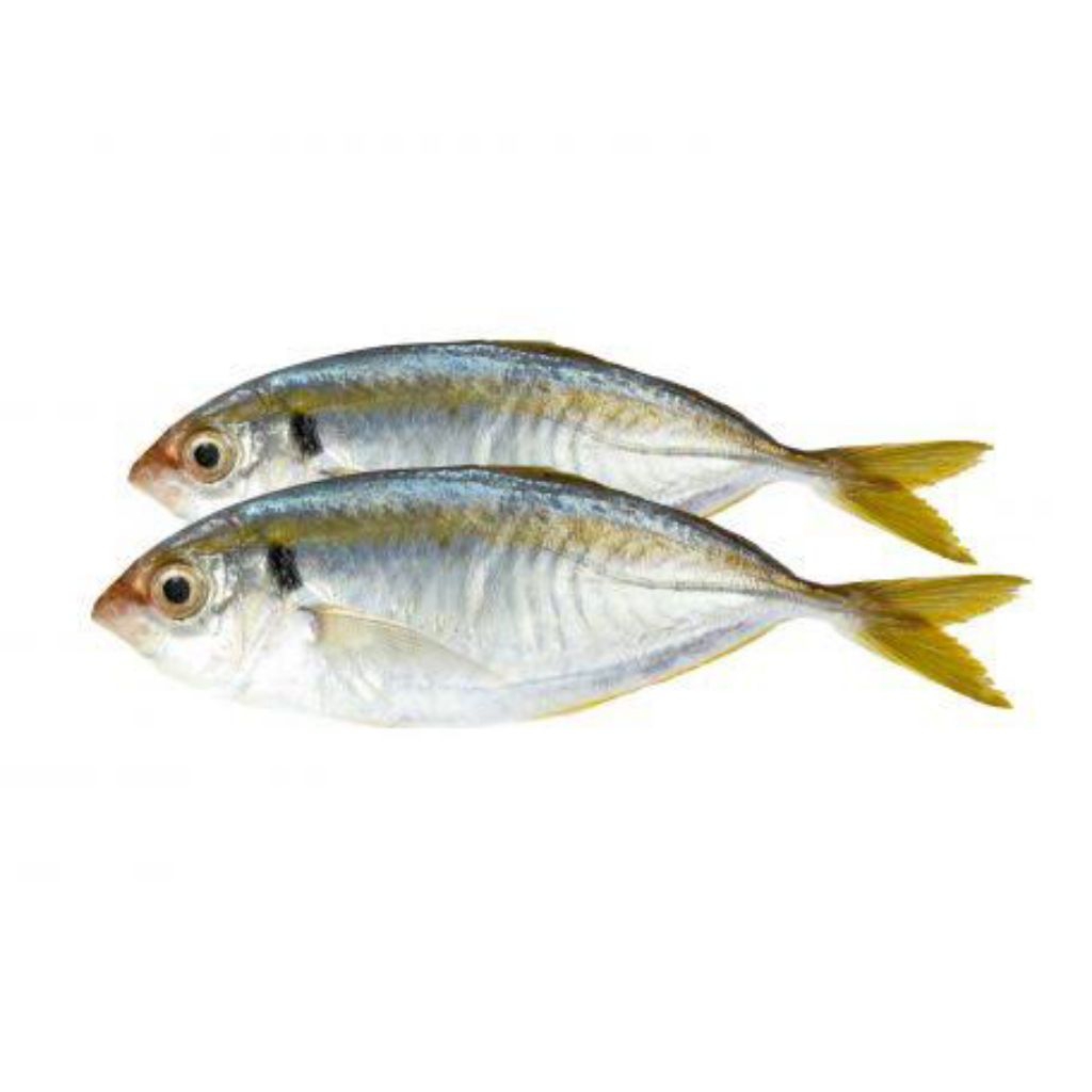 

[PS] Ikan Selar Segar