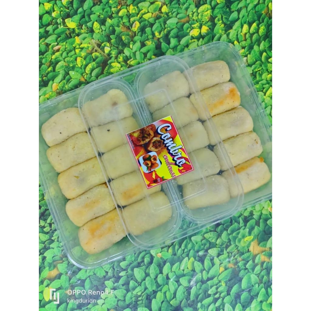 

Combro Frozen Isi 10