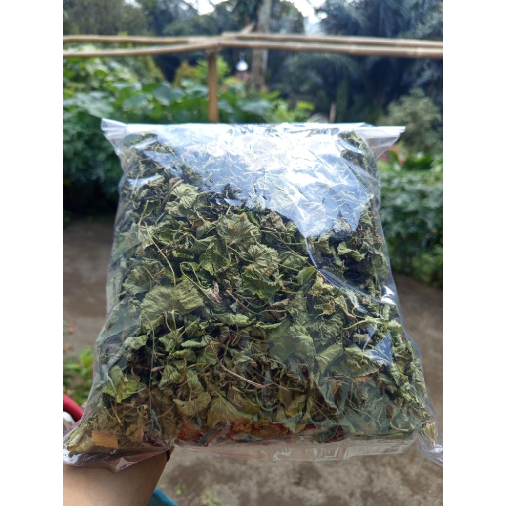 

daun pegagan kering murni tanpa batang 100gram