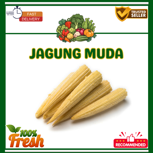 

KIRIM INSTAN Jagung Muda/Putren Segar