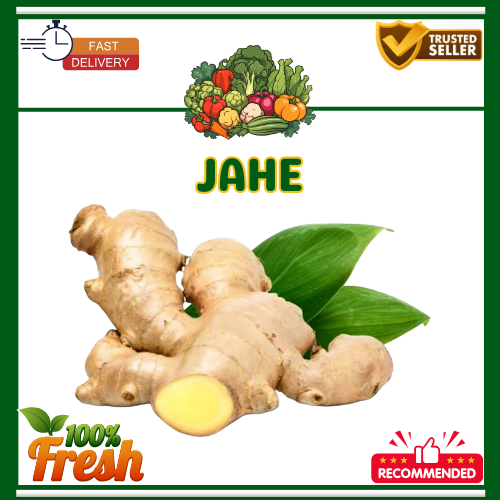 

KIRIM INSTAN Jahe Segar 250gr