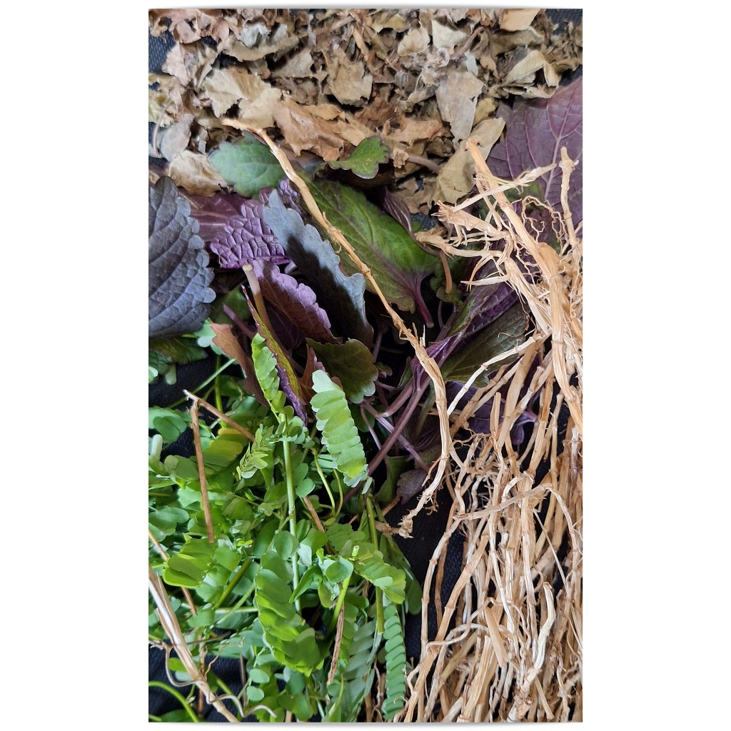 

Rempah Herbal Mengobati Sariawan Dan Radang Terggorak Per 1Cup
