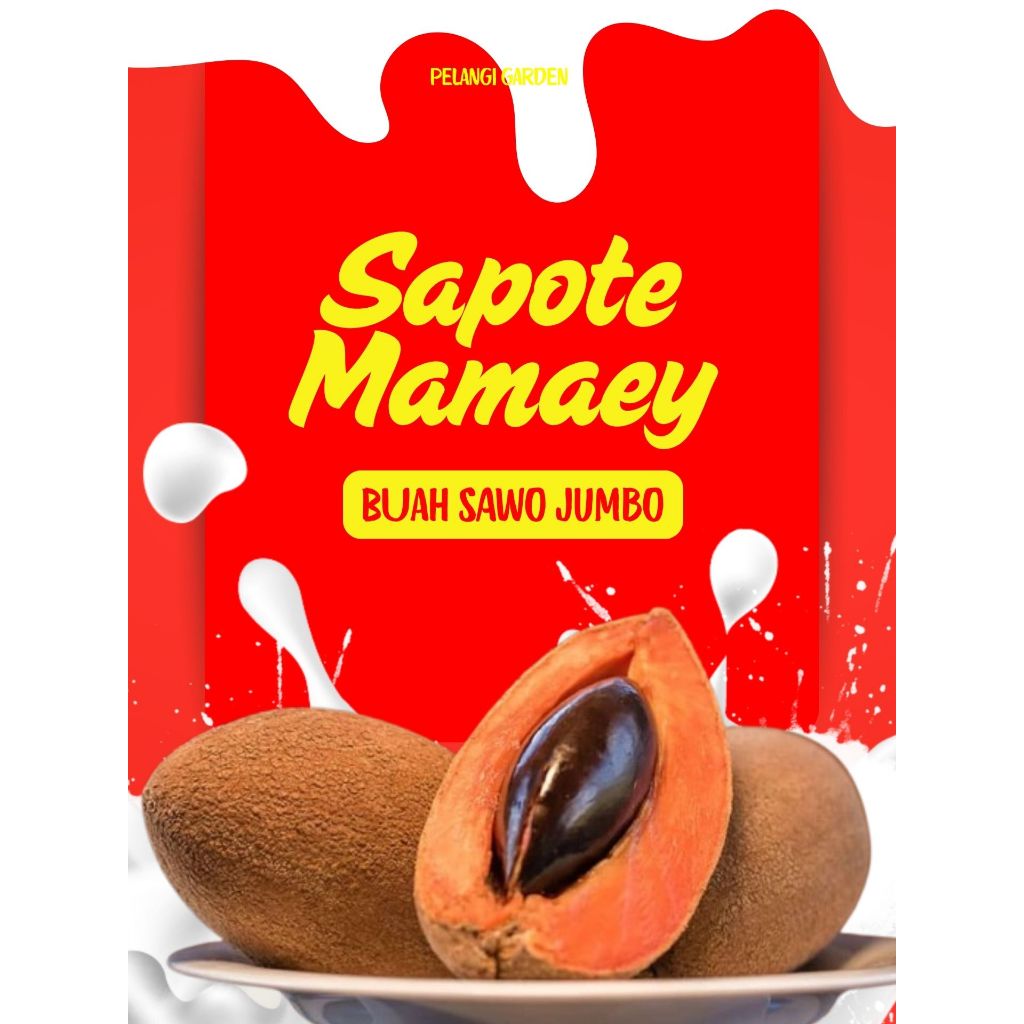 

TERBAIK !! Mamey Sapote Buah, Mamey Sapote Di Sekitar Saya