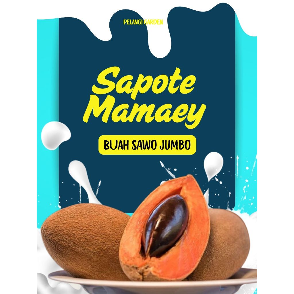 

TER-ENAK !! Mamey Sapote Di Sekitar Saya, Mamey Sapote Fruit