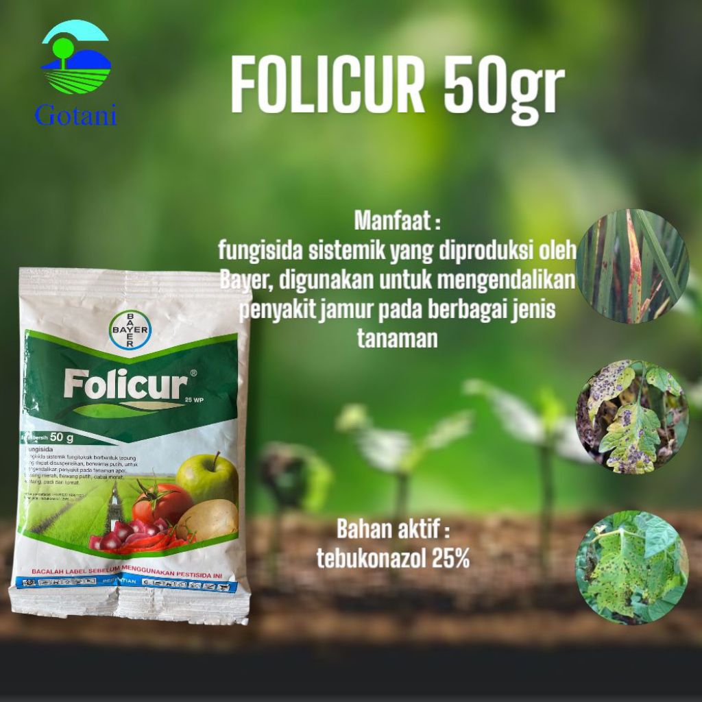 Fungisida FOLICUR 50GR