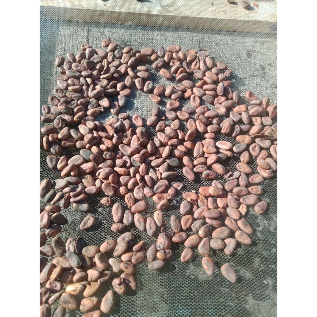 

Biji Kopi Coklat Premium Kemasan 1 Kg