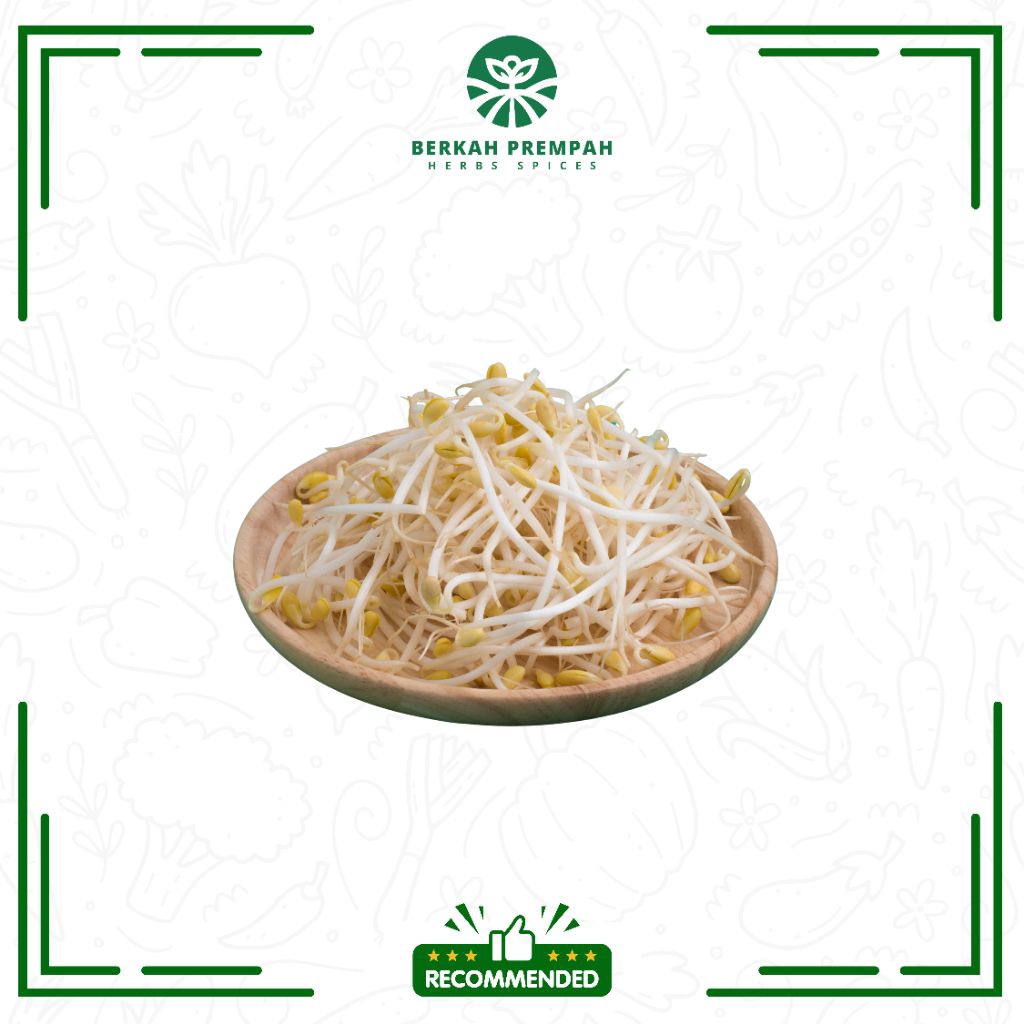 

Tauge / toge segar - BerkahPrempah