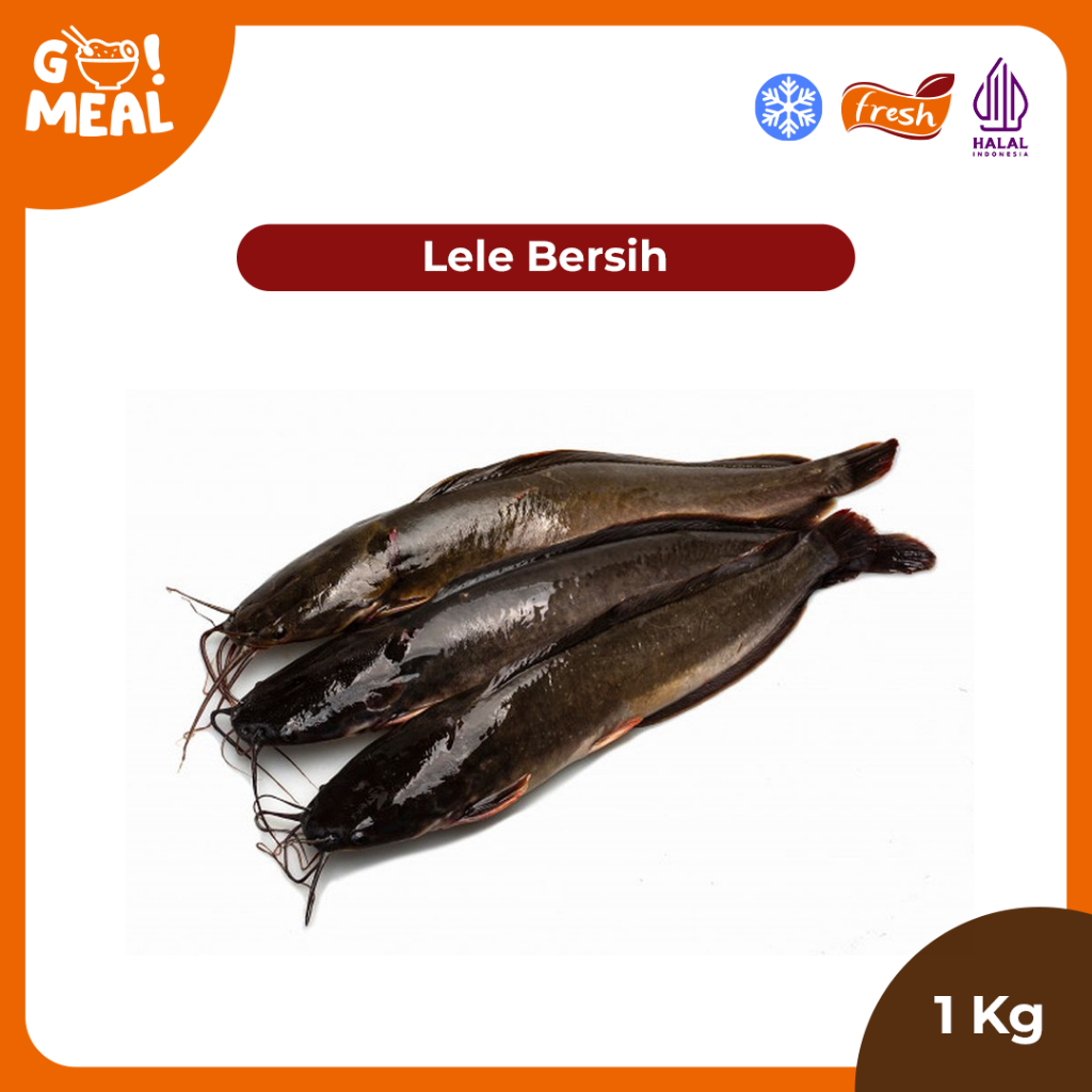 

Lele Bersih/Lele Frozen/Lele Fresh
