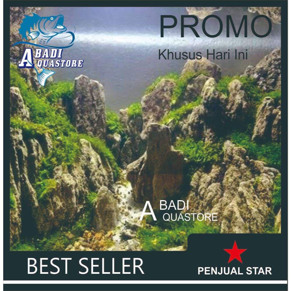 BATU AQUASCAPE BOBING | BATU AQUASCAPE | BATU AQUARIUM | BATU TANAMAN