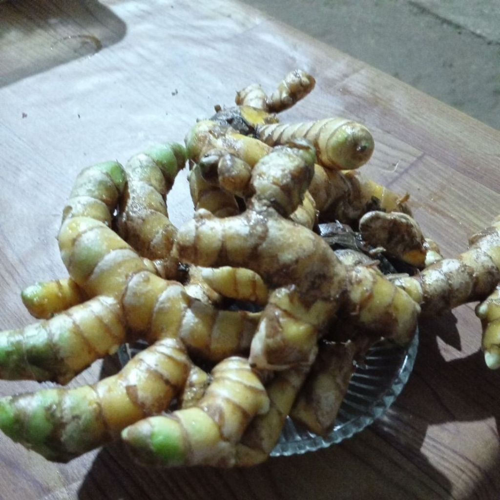 

Temu Glenyeh Segar Alami 1kg Temu Tis/Temu bayi/curcuma