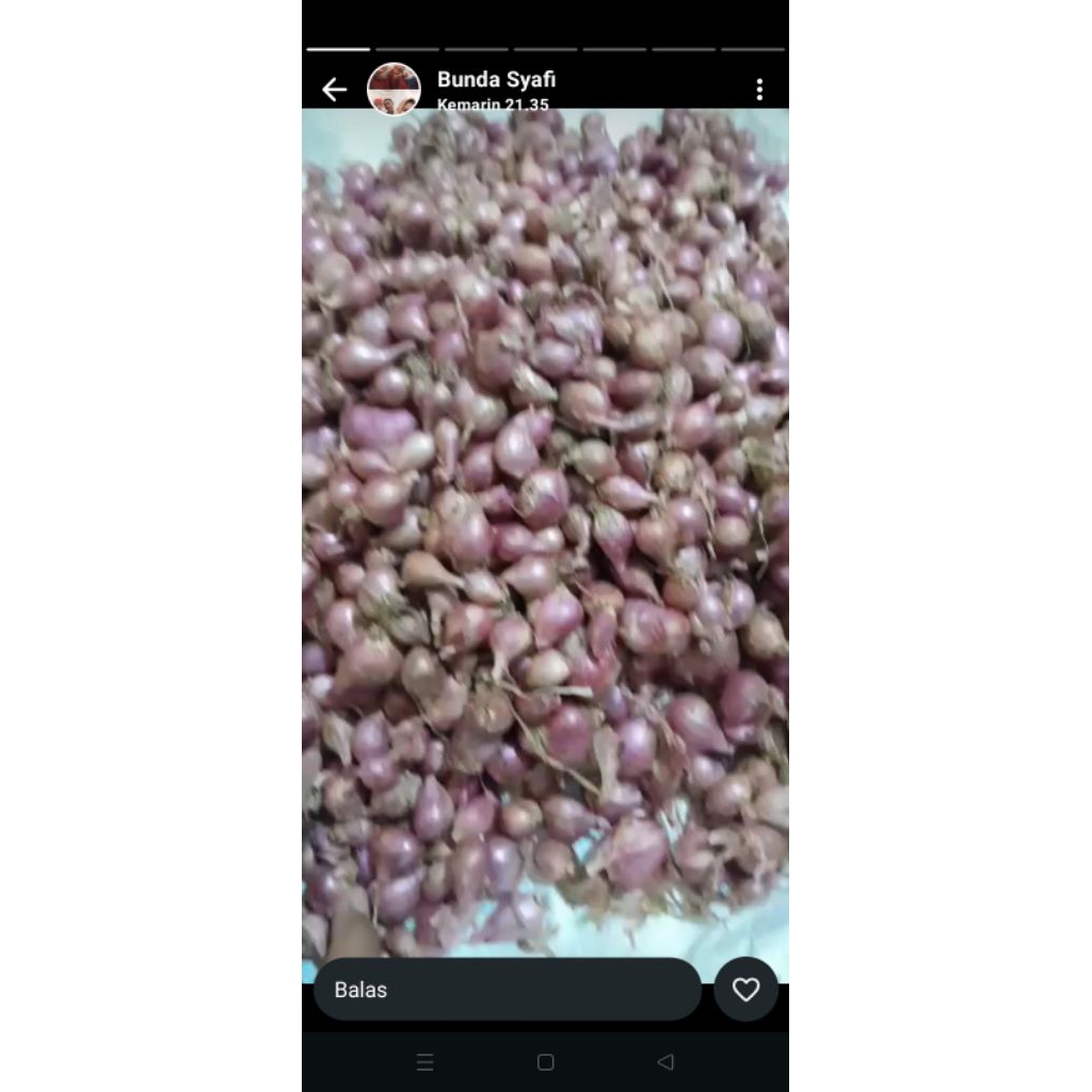 

bawang merah