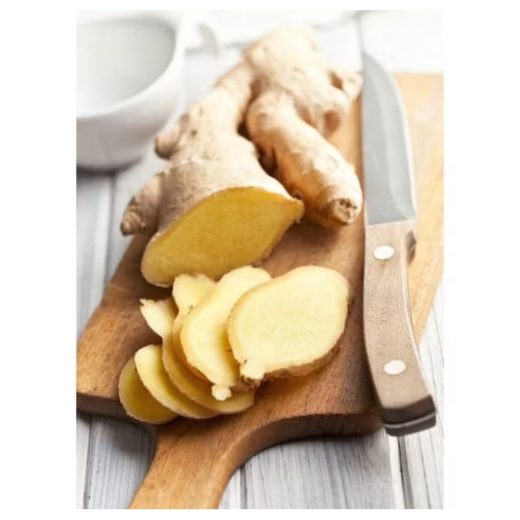 

JAHE SEGAR 100GR TERMURAH