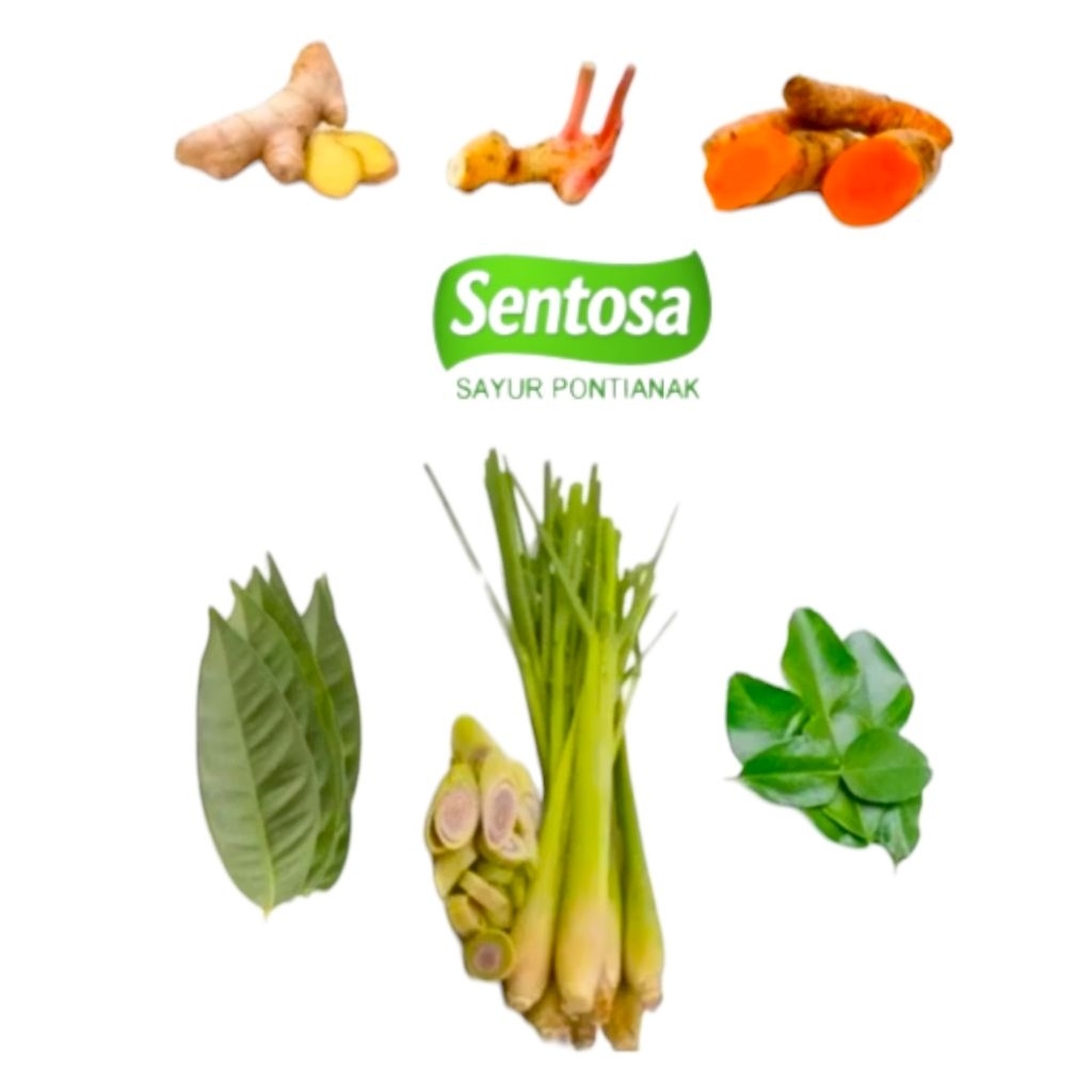 

Bumbu Dapur / Serai / Lengkuas / Kunyit Sentosa Sayur Pontianak