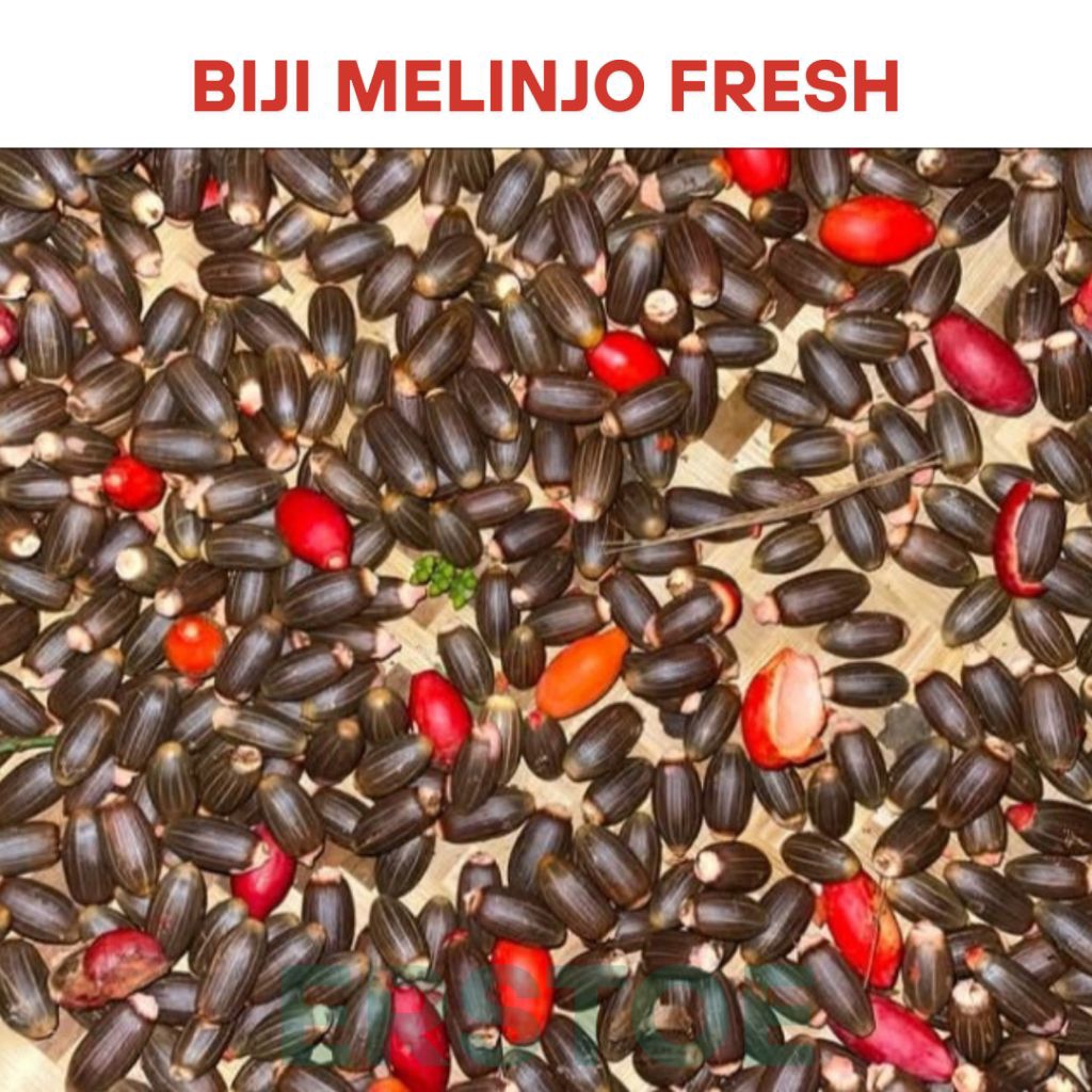 

1KG BIJI MELINJO TANGKIL KUPAS (GRADE A) ASLI BANTEN