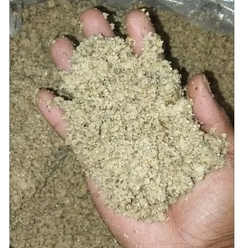 Pakan ayam murah fermentasi onggok singkong berkualitas