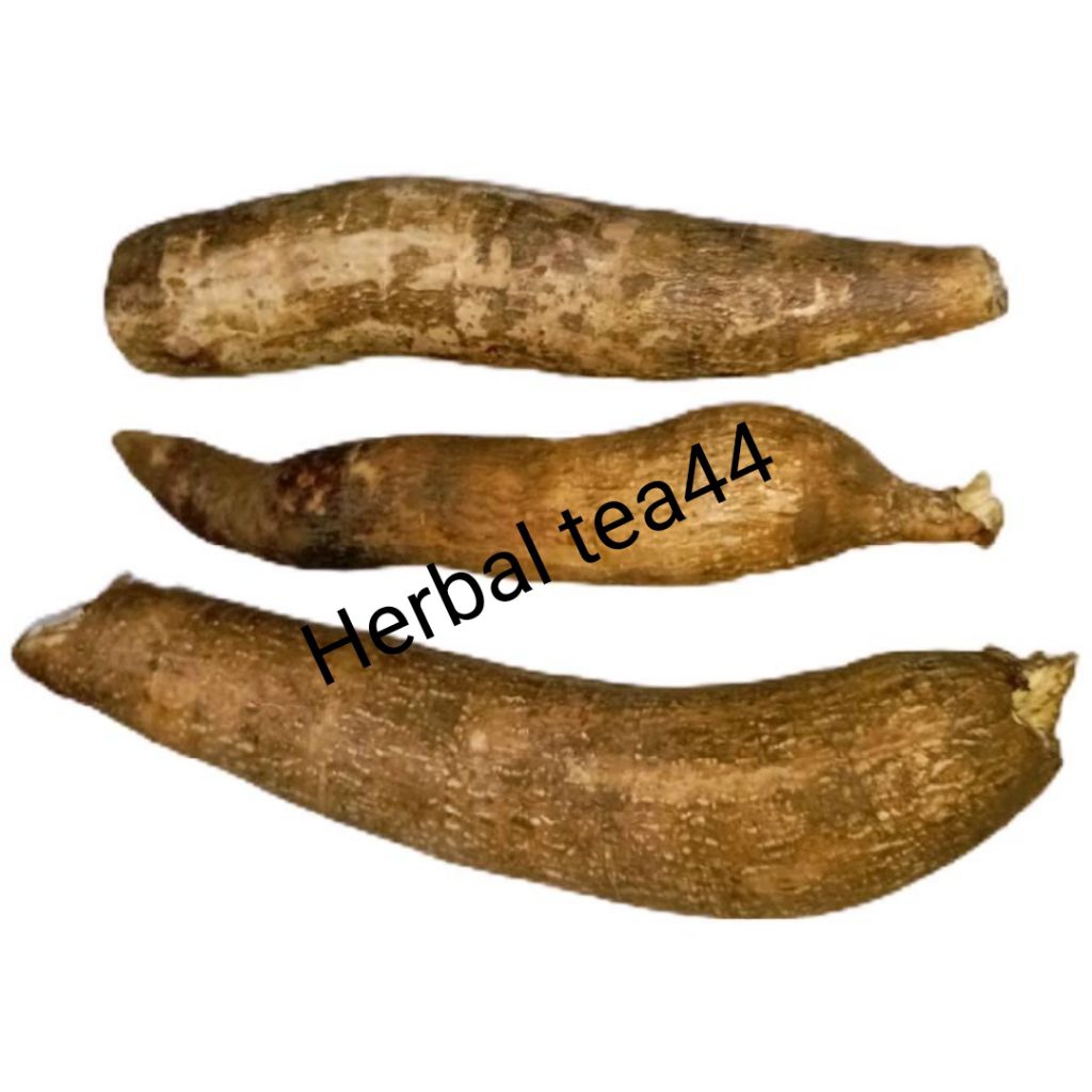 

Paket 1 kg Bonus 1 batang bibit - Singkong sapikuru singkong genderuwo - HT