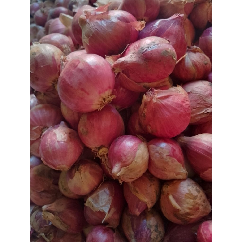 

bawang merah lokal berkualitas termurahh