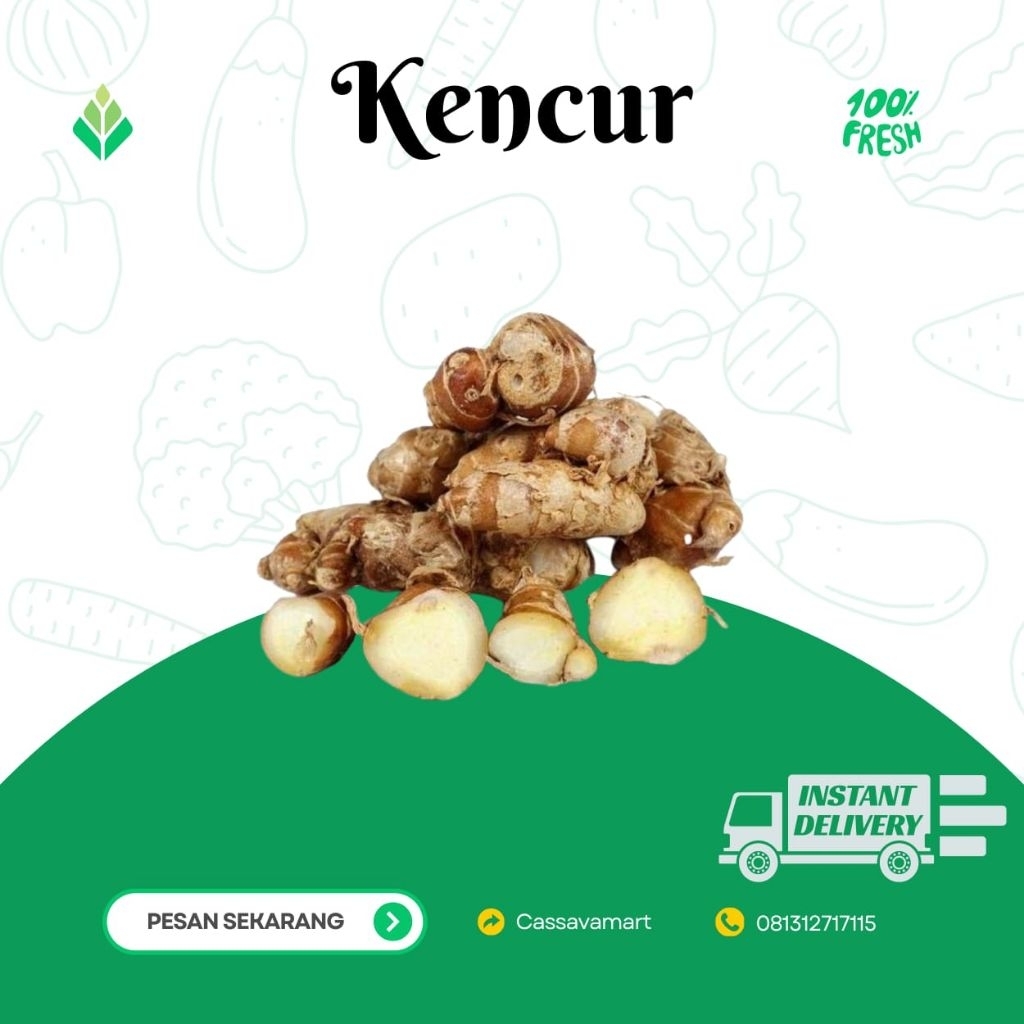 

kencur segar 1kilogram