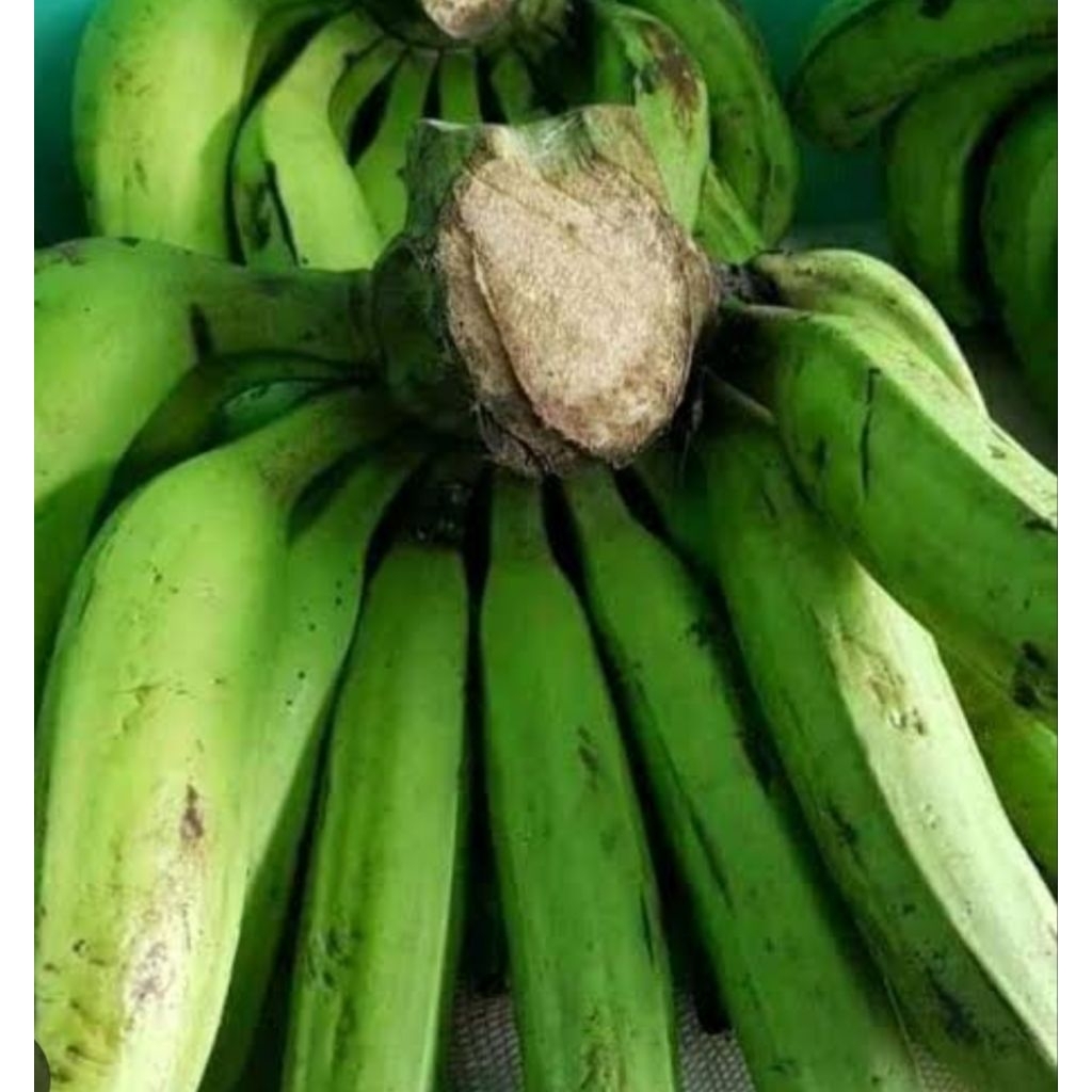 

Pisang Raja Nangka 1 kg 6000